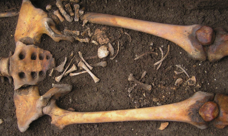 Small bones found in the coffin below the mother’s pelvis.
